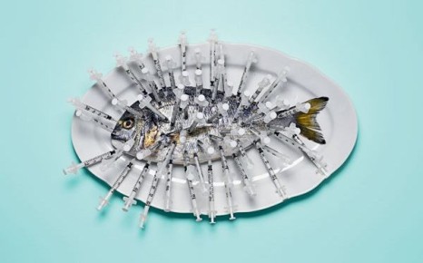 ��� �������� ��������: ���� � ������� �������� � �� �������� ������� �� ��������