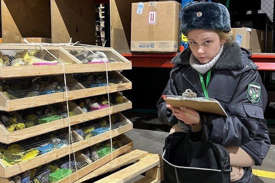 � ���������� �������� 870 �������� �� �����������