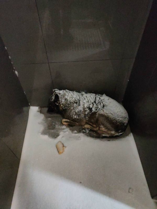 ������ ����� ������ ����� ������ ��������� ������ � ����� � ��� �������