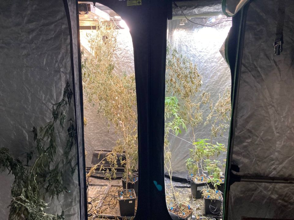 �������� �������: � ����������� ����� ����� ���������� ����������� ���������� ��������� �������