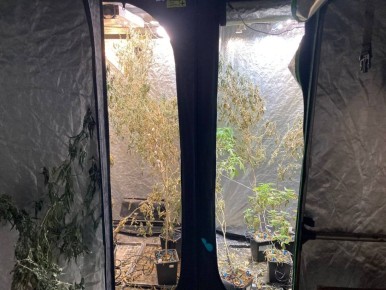 �������� �������: � ����������� ����� ����� ���������� ����������� ���������� ��������� �������