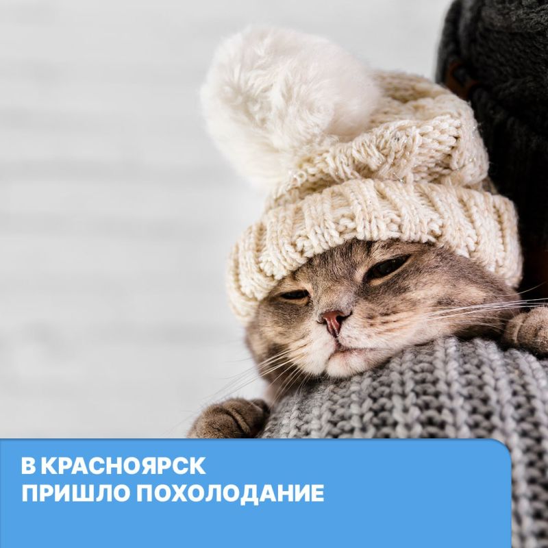 � ����� ������ �����������