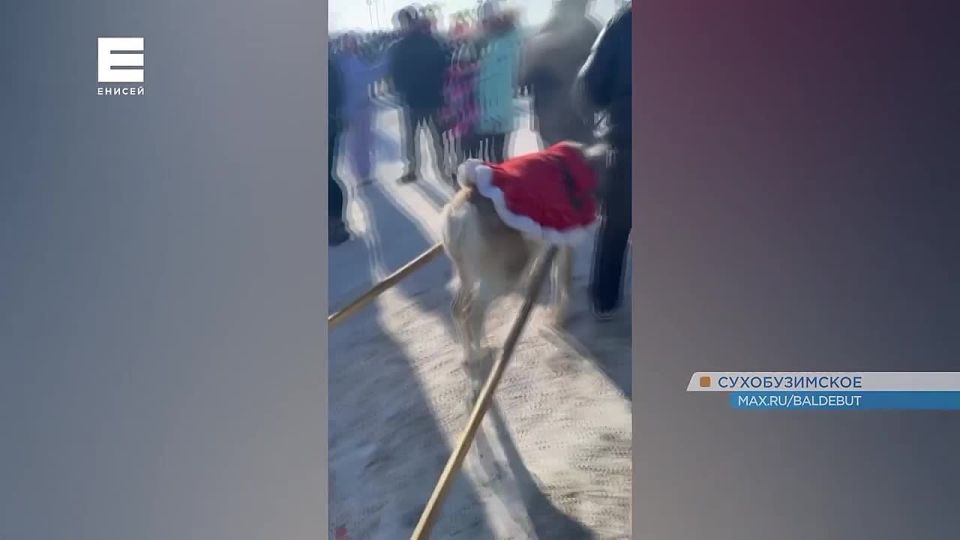 � ������������� ���� ��������� ����������� ����� � ������������ ���������