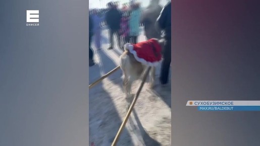 � ������������� ���� ��������� ����������� ����� � ������������ ���������