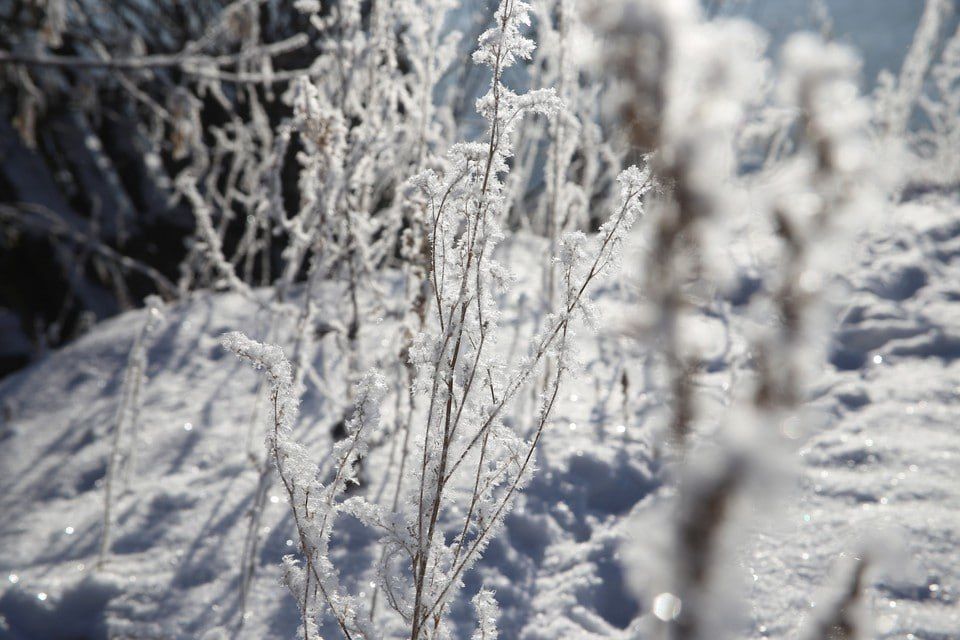 � ������������ ���� 25 ������� ��������� 40-��������� ������