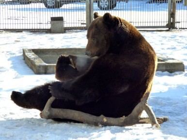 ������� ������� ��������� � ���������� ��������