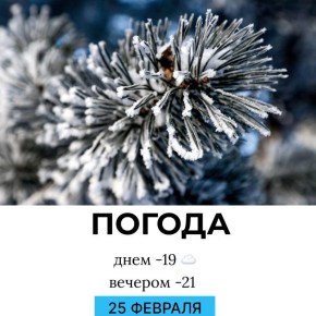 ������ �� �������