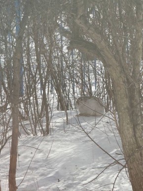 ���� ����� ����� �1. ������, �����, ��� ���� �������� ������