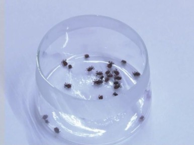 ������������ ���� ��������� � ������ ���������� ������