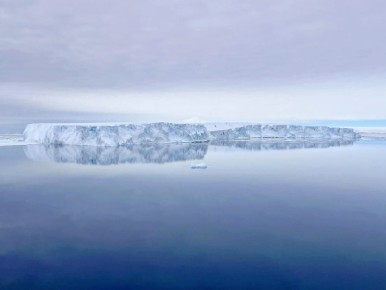 ���������� ������ ������! ��������, ���������� � �����������!