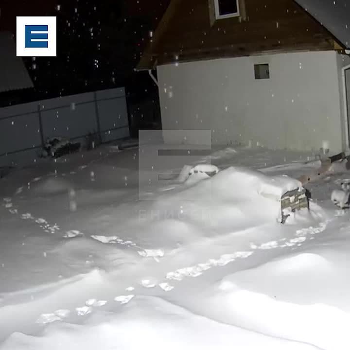 ����� ����������� �� ����� � ��� ��� ������������