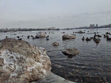 ������ ����!. ����: ������ ������� #���������������