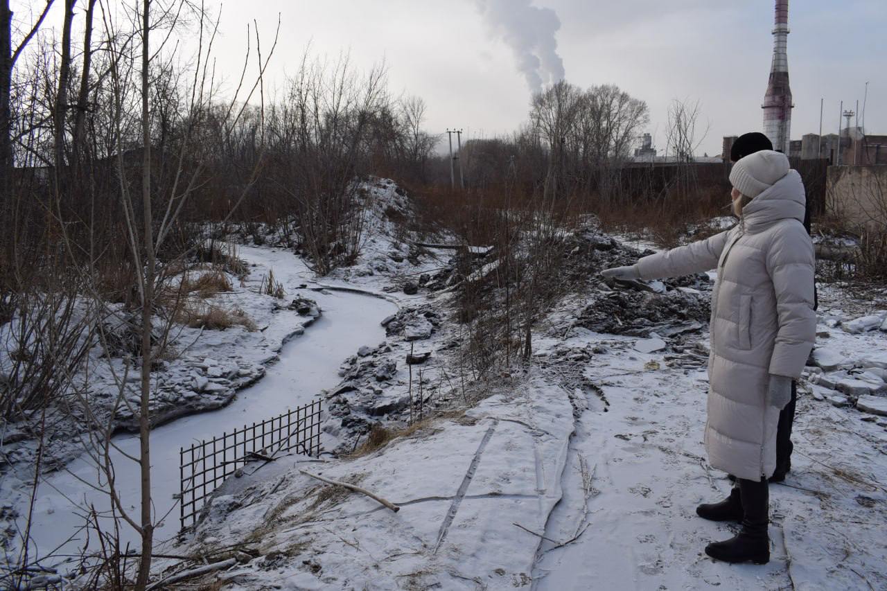 Река Паниковка затопила участки и дома в красноярском поселке Торгашино
