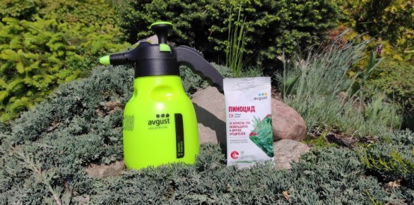 ����������� ������ �������: ��� � ��������� "�������"