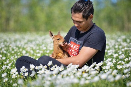 ������� ���� ����, �� ��� ��� � �� ������: ��������� ��������-������ ���� ���� �� ���� ������ �� ������� � ������