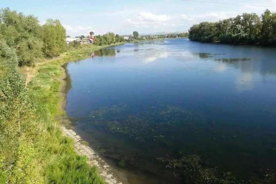 ��������� ����������� ������� �������� � ����������� ������ ����� ������