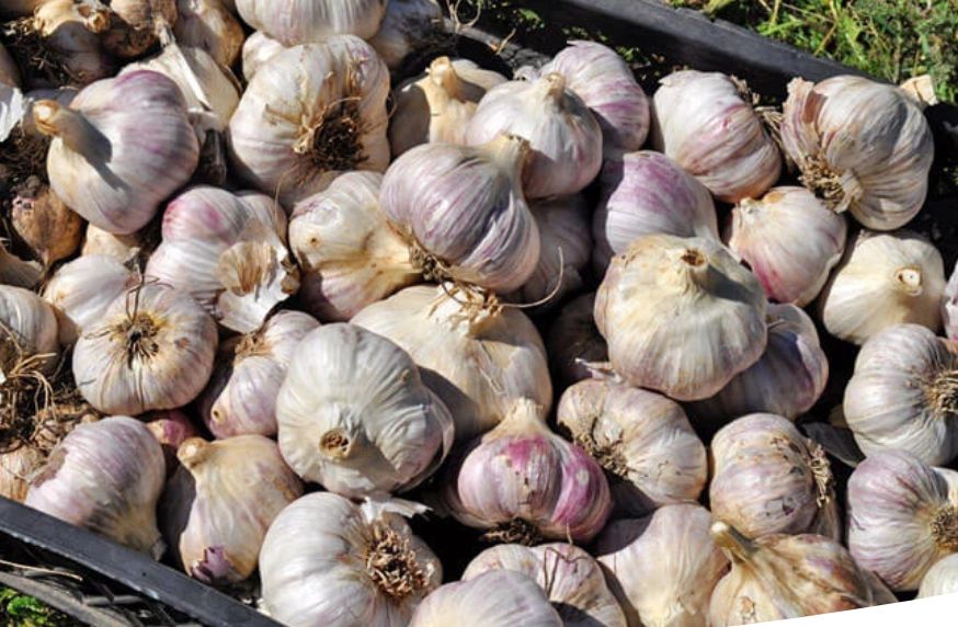 ��� ��������� ������ ������: ������ �� ����������� � ���������