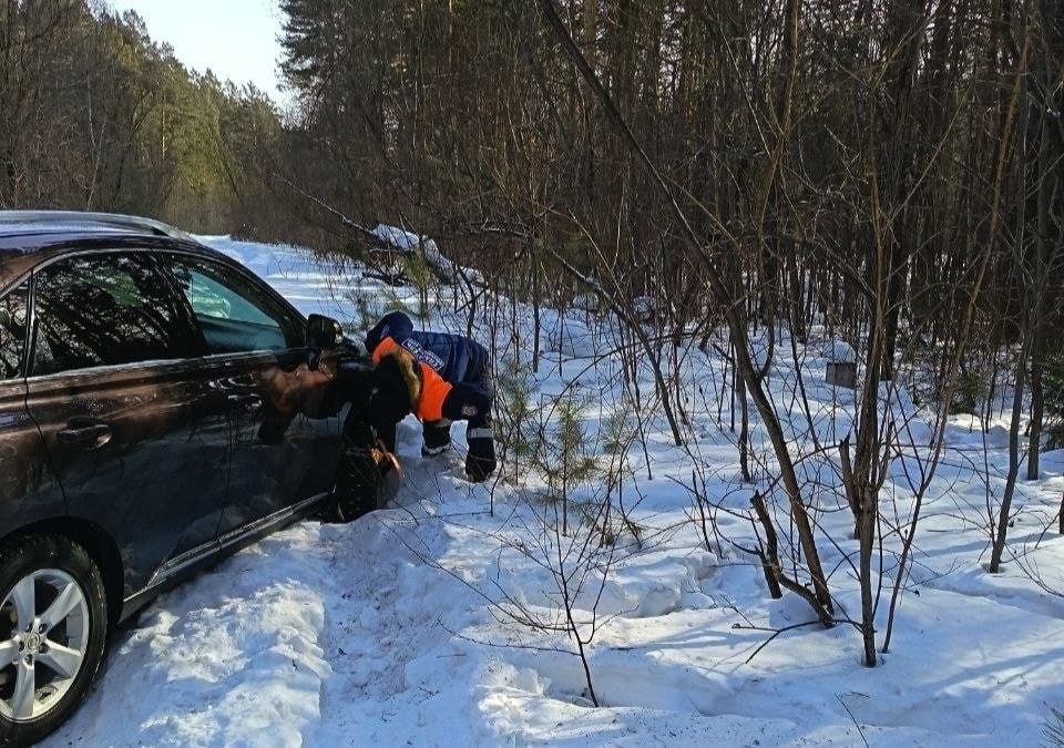 Семья из Красноярска доверилась навигатору и застряла в глухом лесу около Зеленогорска