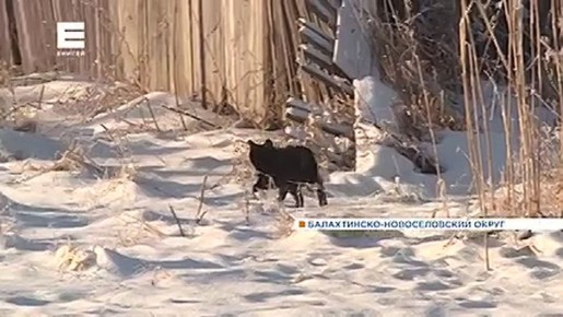 � ������� �������� ��������� ���� ����� ����� ����, ������� � ������