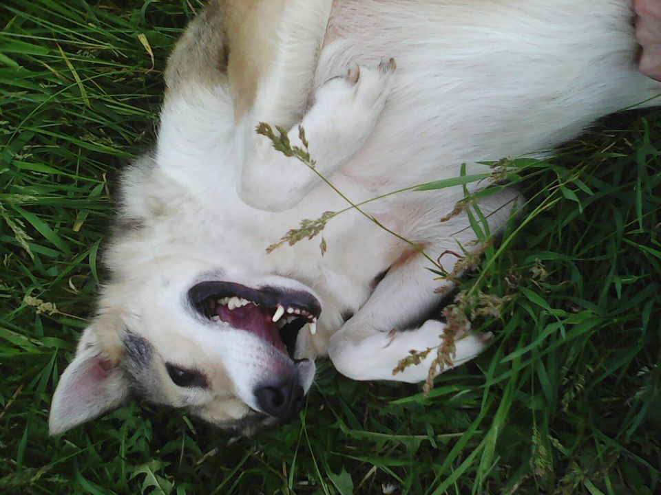 �����-��������� �� ������ ����: ������� ������ ������� ������, � ������ ��� �� ������ �� ��� ������ ������