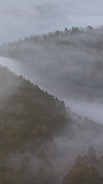 Красота сибирской осени и густой туман над Енисеем, Красноярский край