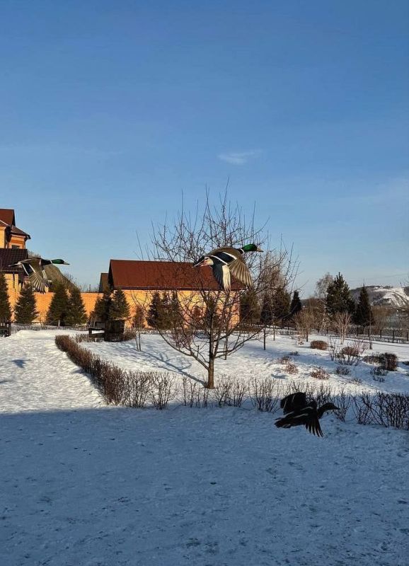 ������ ����!. ����: ��������� ����� #���������������