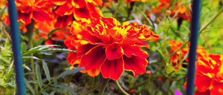 �������� �� �����: ��� �������� ��� ��� ��� �������� ����������