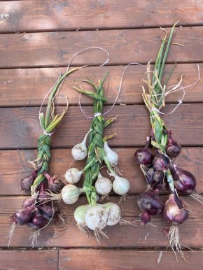 ��� ��������� ��������� ������ � ���: ������� � ������