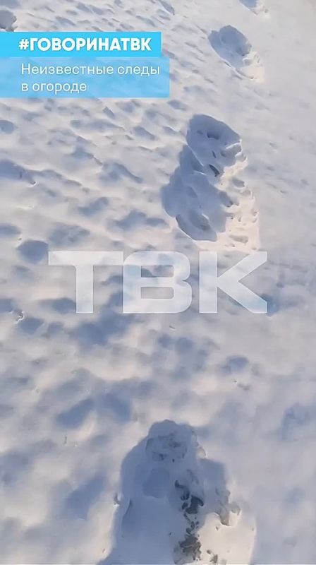 �������� ������� � ��� ��������?�: ����������� ����� �������� � ��������� ������