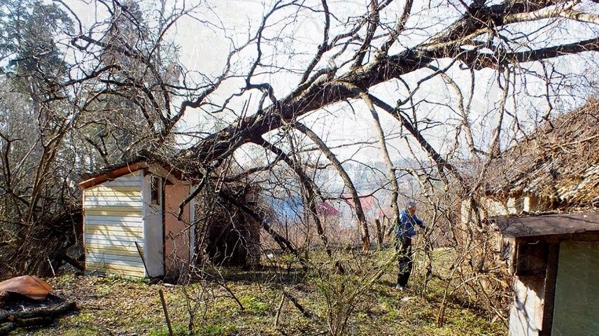 ��� ���������� ��������� ������: ���� �������� ���������