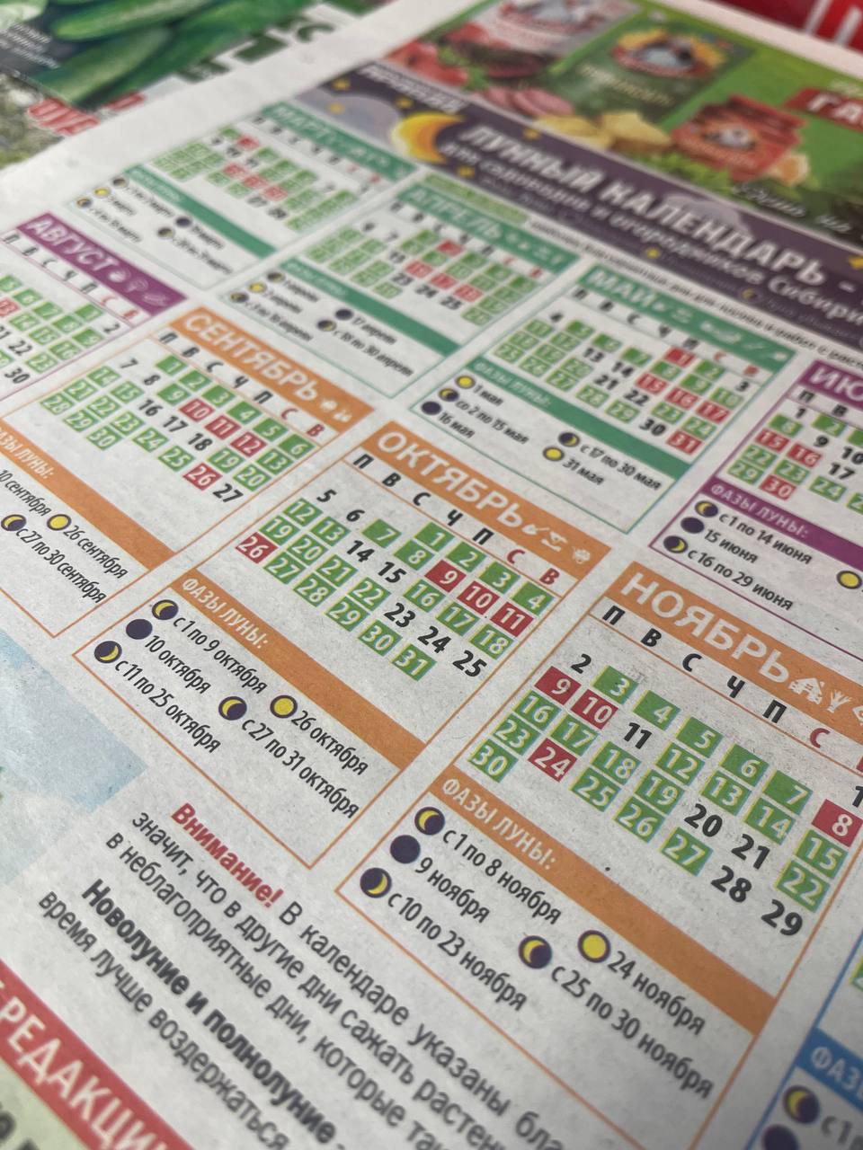 А мы сегодня необычные, зеленые А мы сегодня необычные, зеленые