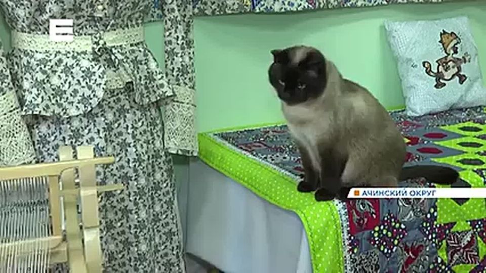 ����������� ��������� �� �������� ���� ���� ����� � �������� �������� �������