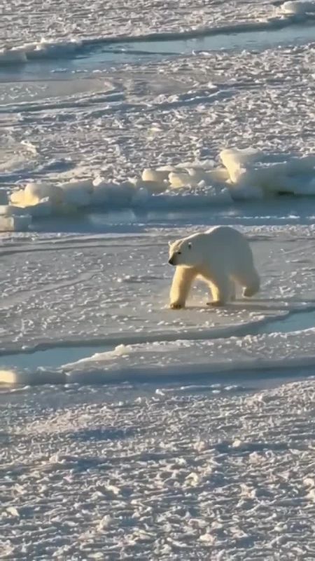 �������, �� ������, ��� 27 ������� ���������� ������������� ���� ��������� �������? � ��� � ���!