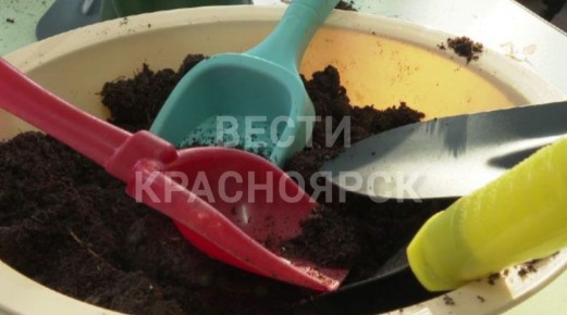 Юные садоводы в детскому саду Красноярска во всю готовятся к приближающемуся сезону земледелия