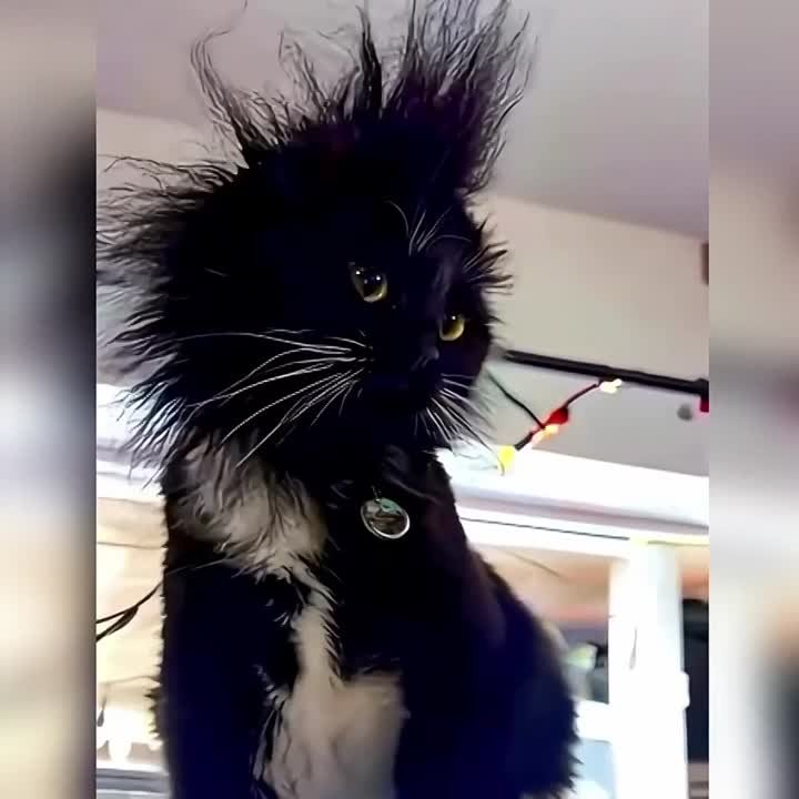 Закоротило. Хочешь, чтобы с твоими электроприборами все было в порядке? Тогда помни: Прокладку проводки доверяй только профессионалам