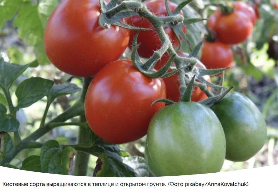 �������� ������: ������ ����� ��� ����� ������ � ��������� ������