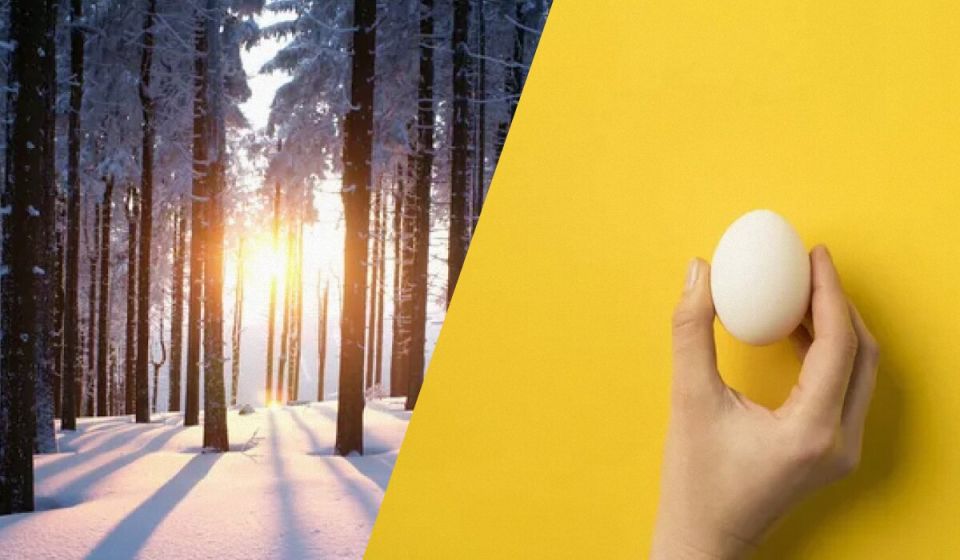 �������� ���� 29 �������: ��� ����� ����� � ��������� �������