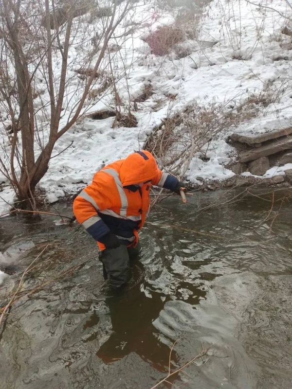 ���������� � �������� ��������