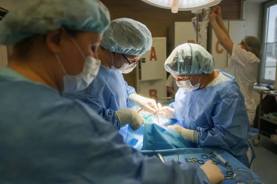 А мы сегодня необычные, зеленые А мы сегодня необычные, зеленые