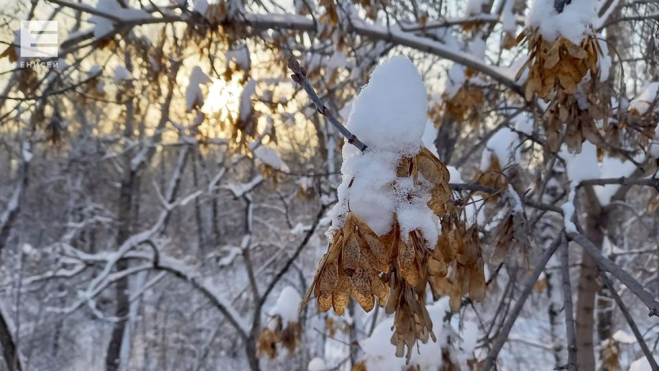 � ����������� �� �������� �������� ������