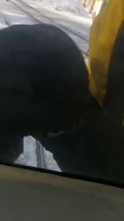 � �������� ������������ ����� ���������� ������������� ����� � ��� �������