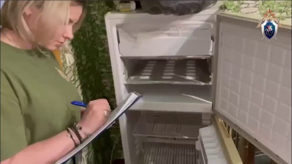 Председатель Следственного комитета России Александр Бастрыкин затребовал доклад по уголовному делу о покушении на убийство ребенка в Красноярске