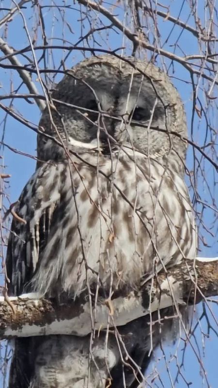 ��������! �� ���� ������. ������ � ����, ���� ���������� �� ������ � ��� �������� ����� �� ����� ���������� ��������� ���