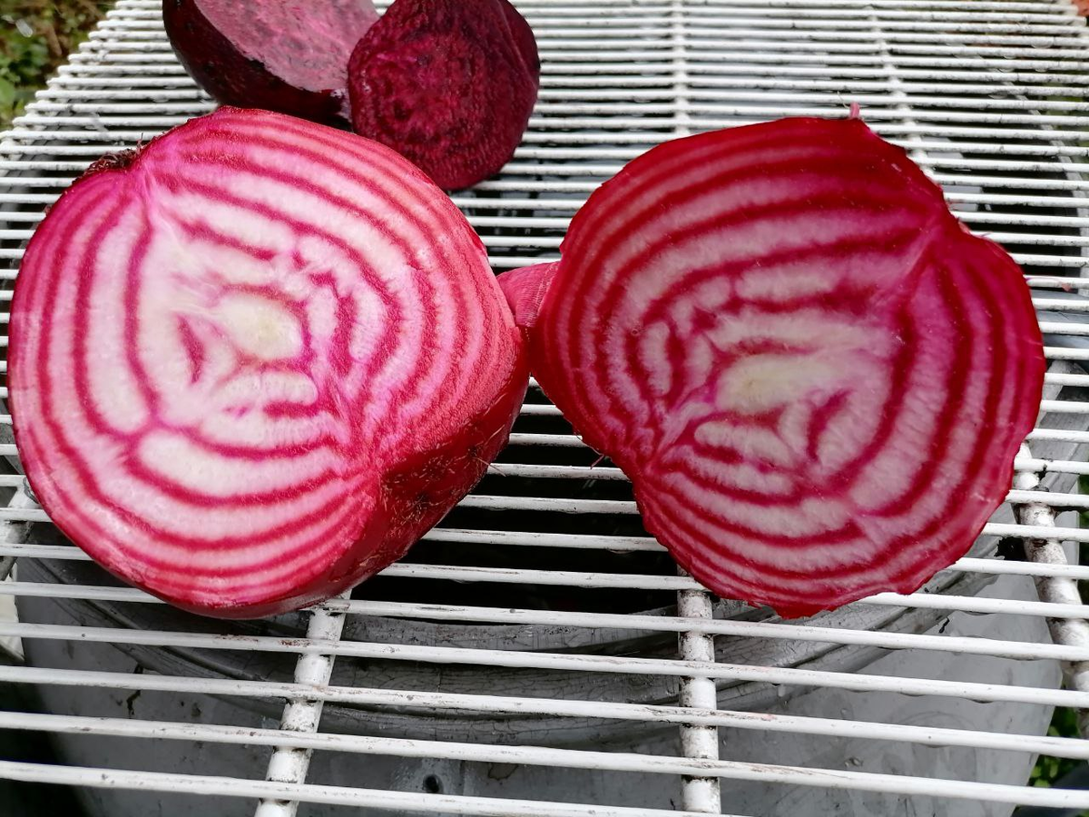 Свекла с белыми кольцами: неожиданная сладость и быстрые кулинарные чудеса