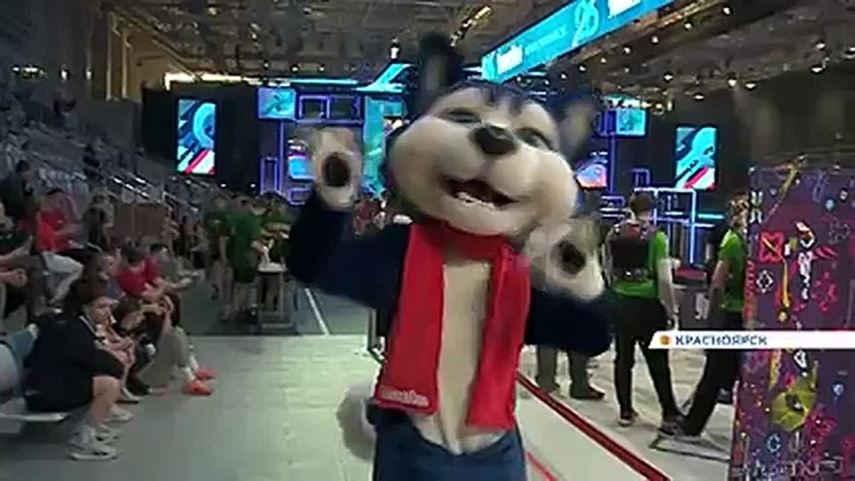 � ����������� ���������� �����������