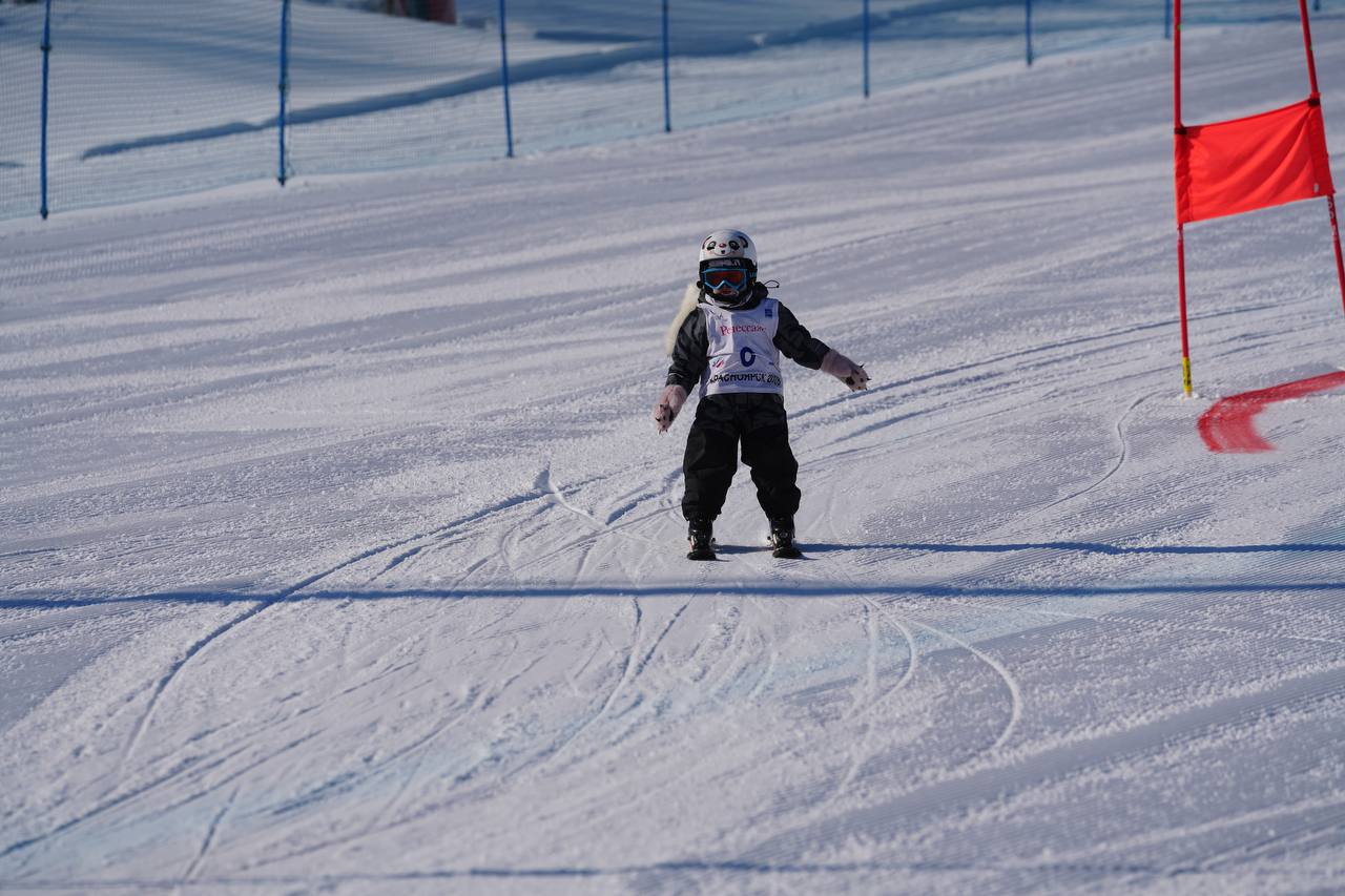 В рамках Спартакиады работников органов прокуратуры края прошли соревнования по горнолыжному спорту и сноуборду в дисциплине слаломгигант В рамках Спартакиады работников органов прокуратуры края прошли соревнования по горнолыжному спорту и сноуборду в дисциплине слаломгигант