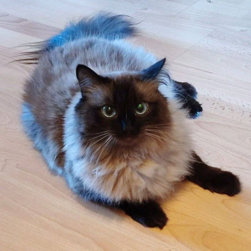 ���� ���� � ����� ����������� �����