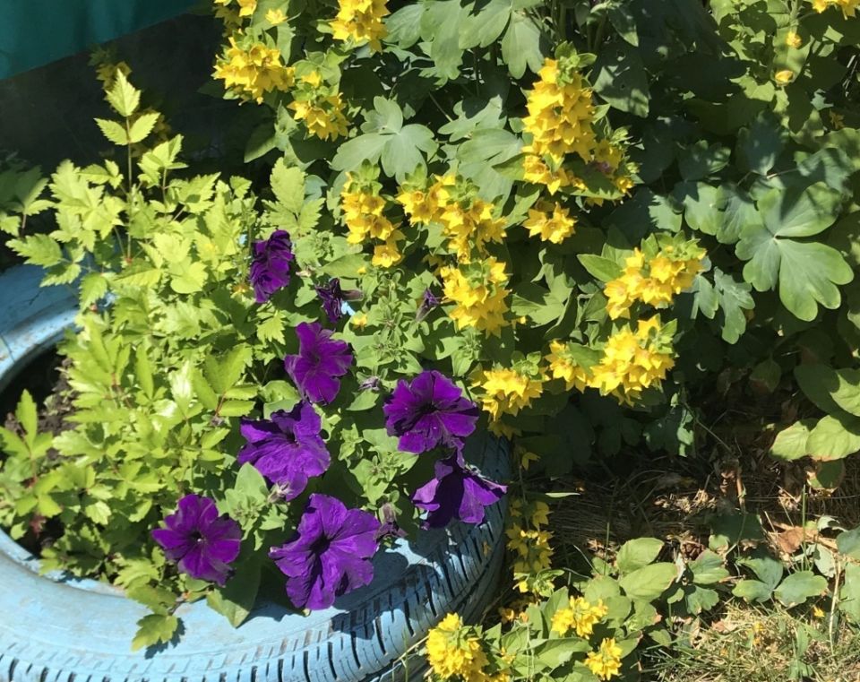 ��� ���� ������ ����� ������ �����: 10 ���������� ���� ��� ����