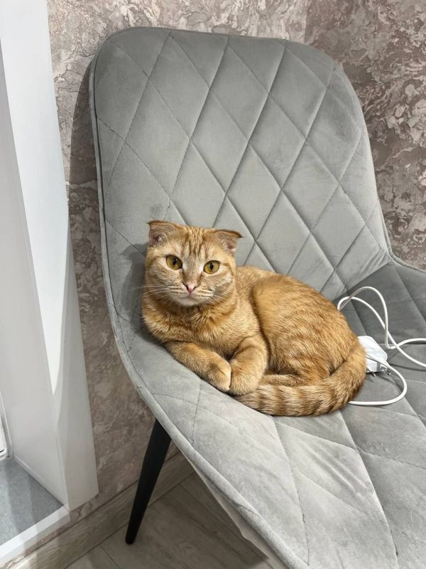 1 ����� ���������� ���� �����