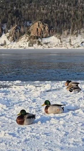 ��� �������� ������ ������ �������� � ������� � ������ ��� ��������� ���������� �������